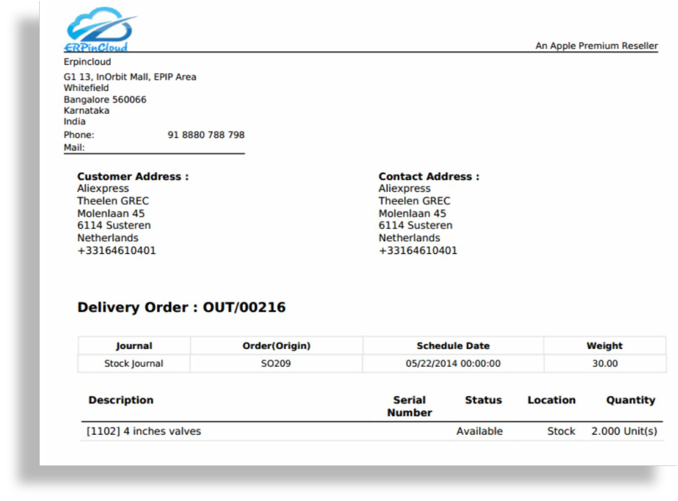 Cloud ERP Delivery Order